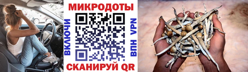 Псилоцибиновые грибы прущие грибы  Купить  Кедровый 